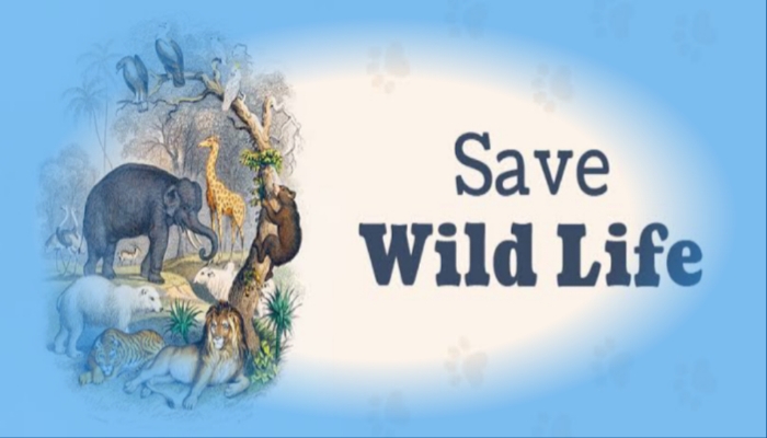 Wildlife Conservation Efforts in India, Last Chance of Wildlife Conservation